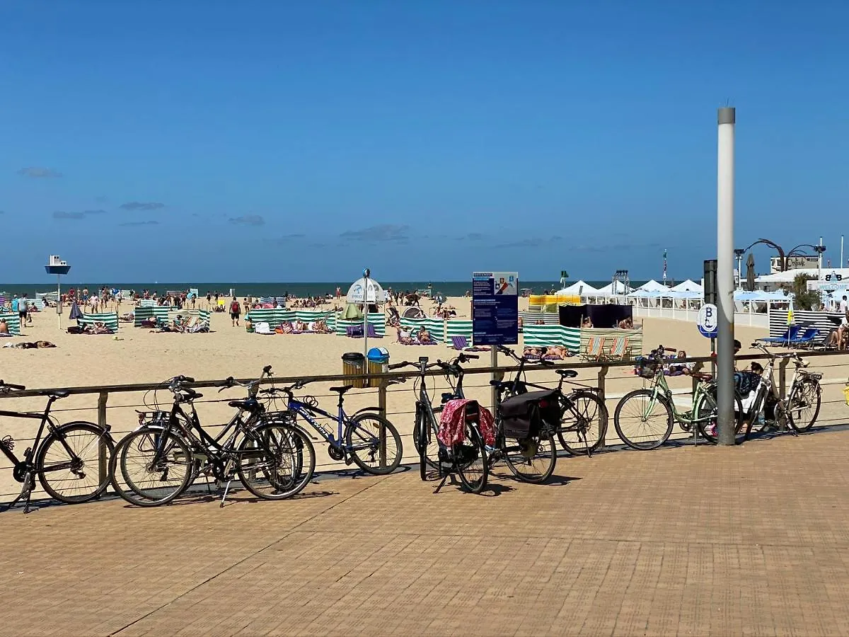 Panoramic View On Beach, Ships, Sea - Place To Be Ostend Belgium