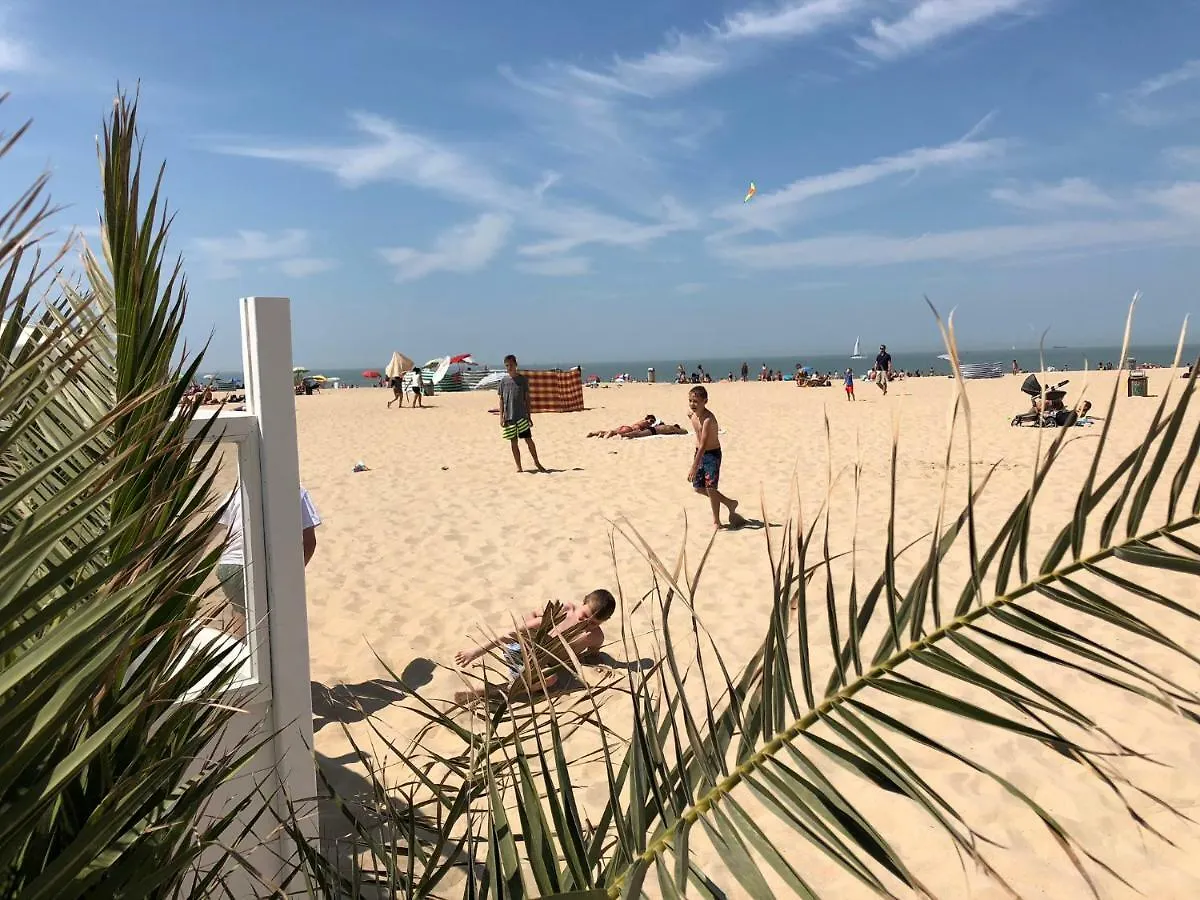 Apartment Panoramic View On Beach, Ships, Sea - Place To Be Ostend